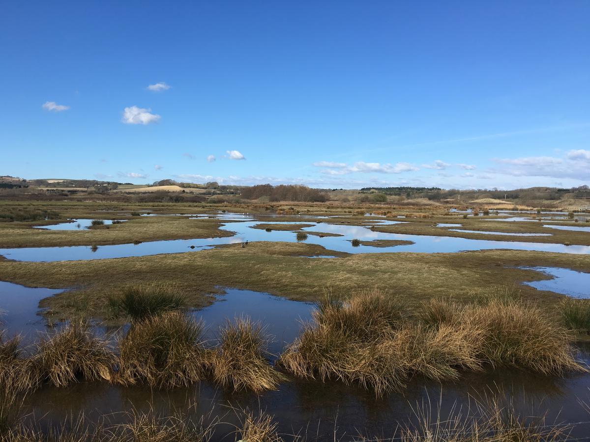 玛石住宿加早餐旅馆 Brading 外观 照片